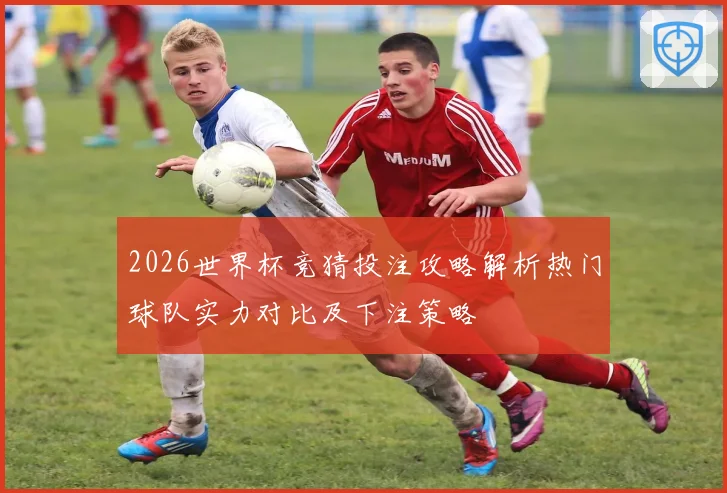 2026世界杯竞猜投注攻略解析热门球队实力对比及下注策略